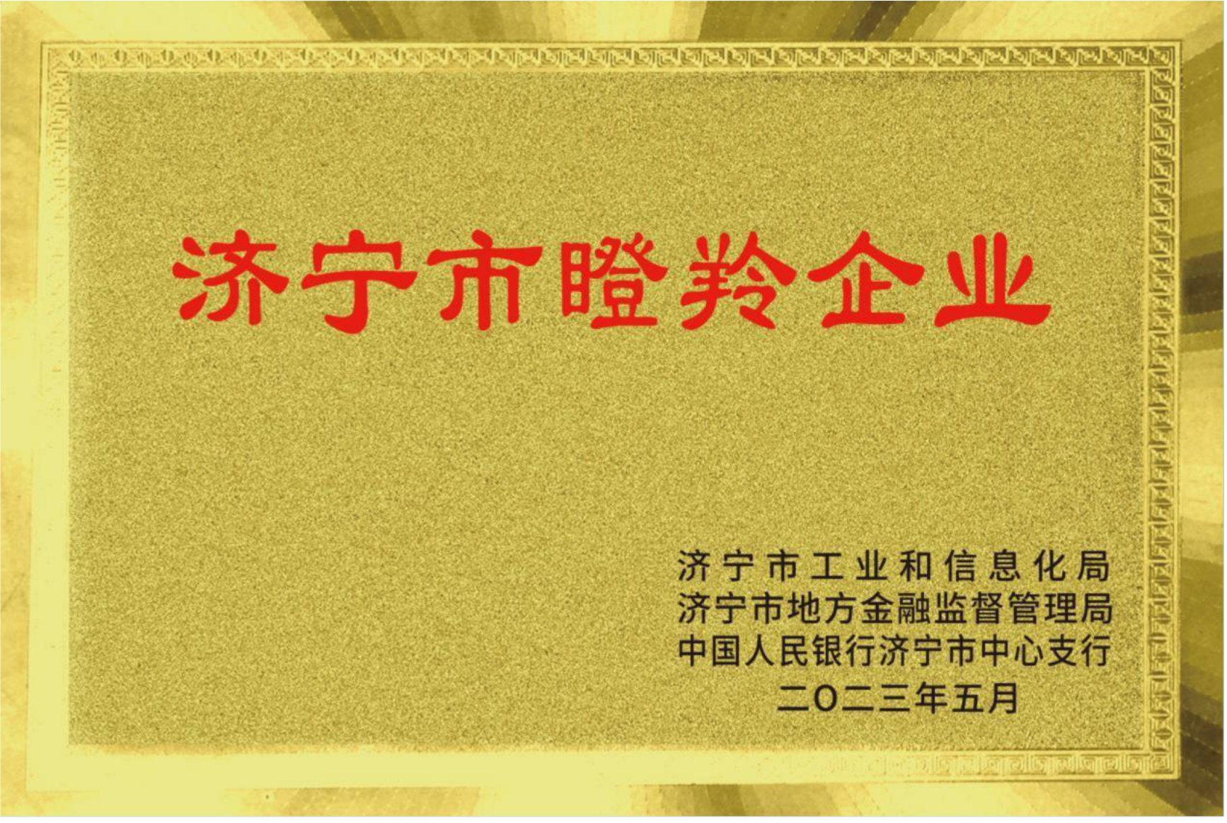 濟寧市瞪羚企業(yè)